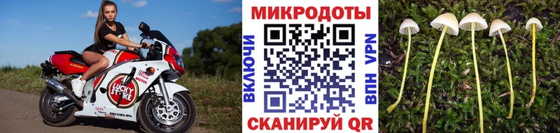 наркошоп  Гусиноозёрск  Псилоцибиновые грибы GOLDEN TEACHER 