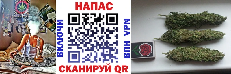 площадка какой сайт  Гусиноозёрск  Бошки Шишки гибрид 